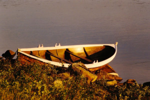 Sommer i Andøy - Hvalsafari Andenes - Whalesafari Andenes
