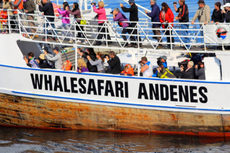 Hvalsafari Andenes - Whalesafari Andenes
